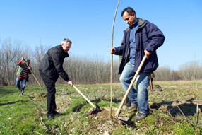 Vojvodina bez šuma na ivici ekološke katastrofe